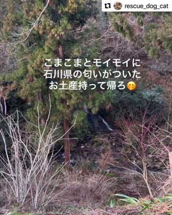 嬉しいご報告！の記事動画