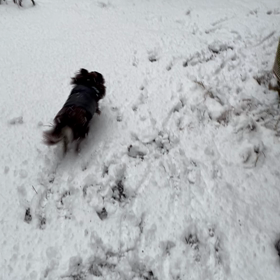 雪の日の画像