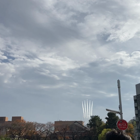 　名古屋城に！！の画像