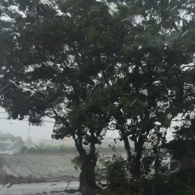 台風18号の画像