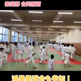 2024/11/04の画像