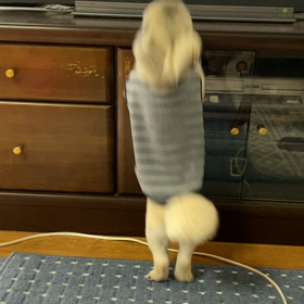 リズの命の画像