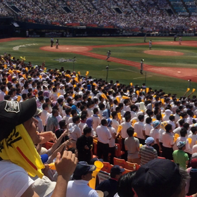 超 速報 横浜高校 勝利！の画像