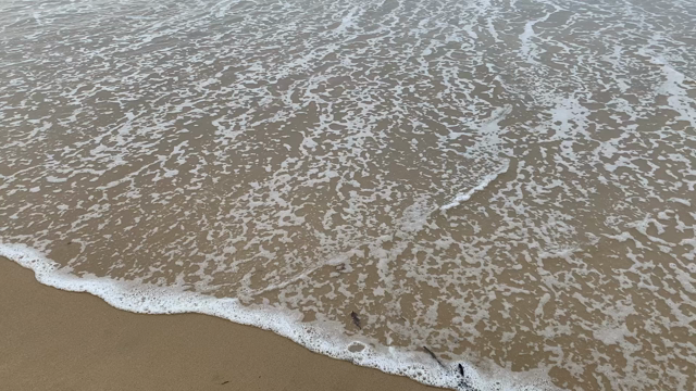 糸島　野北の記事動画
