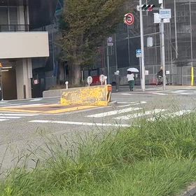 昨日、たまたま通った。の画像