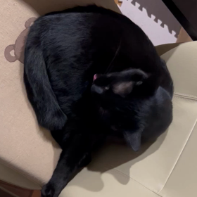 疑惑から確信に。。。の画像