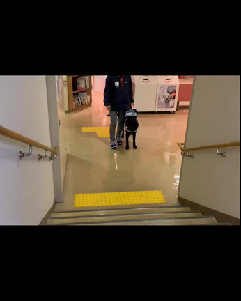 【スマイルワン仙台】PR犬ライフ・コーデの卒業式！の記事動画