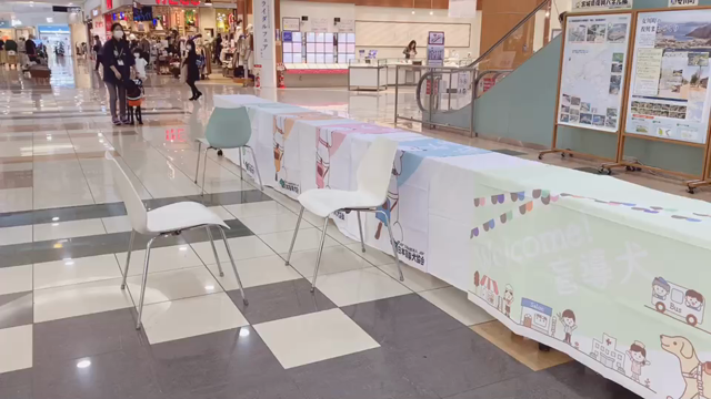 【スマイルワン仙台】PR犬ライフ・コーデの卒業式！の記事動画