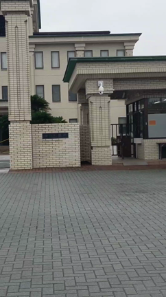 面会行って来ました‼️の記事動画