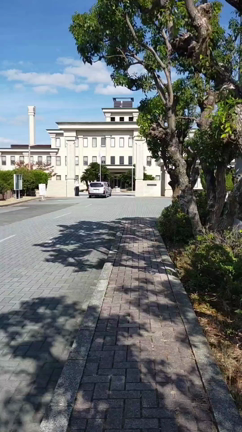 面会行って来たョ‼️の記事動画