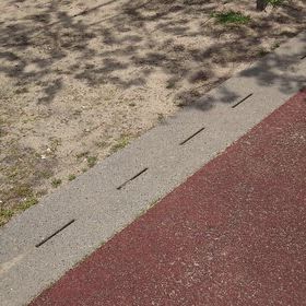 桜並木を歩くの画像