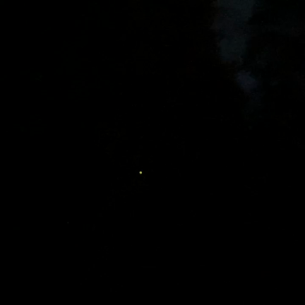 ★夏のはじまりの記事動画