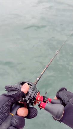 【竿頭20本以上】博多湾タチウオ、もう開幕？の記事動画