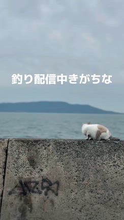 勘弁して...どこからともなく湧いてくる釣り警察3選の記事動画