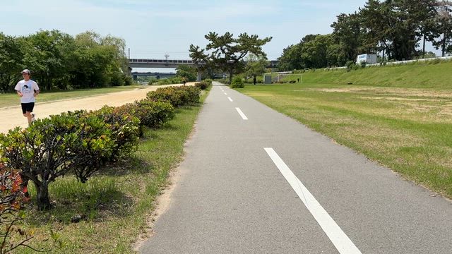 自転車で阪神競馬場に行くもんじゃない＆宝塚記念は調教よかったダノンデサイルとメイショウタバルからの記事動画