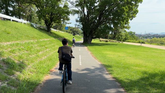 自転車で阪神競馬場に行くもんじゃない＆宝塚記念は調教よかったダノンデサイルとメイショウタバルからの記事動画