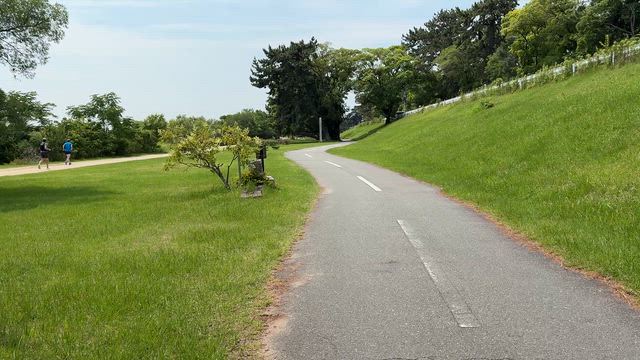 自転車で阪神競馬場に行くもんじゃない＆宝塚記念は調教よかったダノンデサイルとメイショウタバルからの記事動画