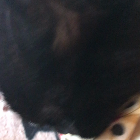 今日は 何をしようかな。の画像