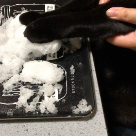 雪あそび。の画像
