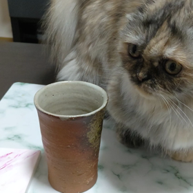 コップの画像
