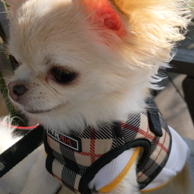 アーセンプライス子安の里の画像