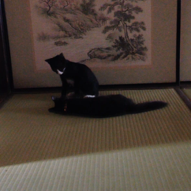 仲悪い………？？の画像