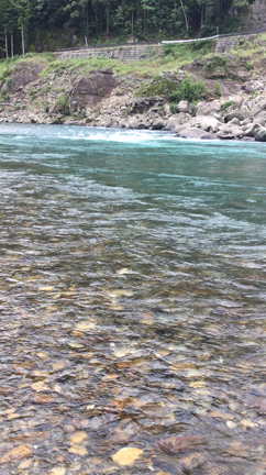 透明感のある川の水に癒される(^-^)✨❸の記事動画