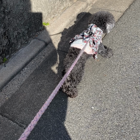 なんと、寒い日なんじゃの画像