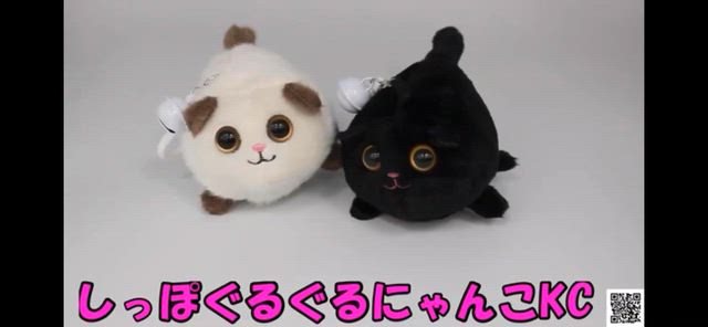 しっぽぐるぐるにゃんこの記事動画
