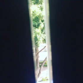 メキシコ動画の画像