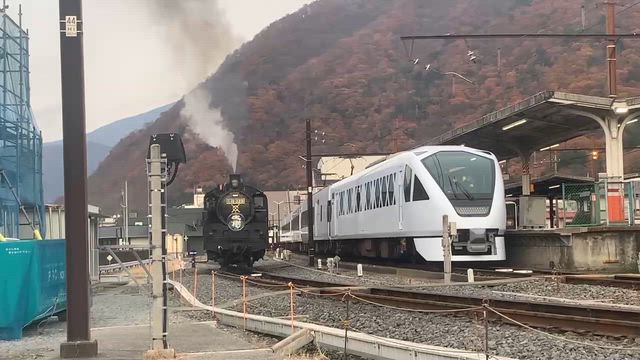 11月下旬でしたが…おさるの山紅葉見れるかなー？の記事動画