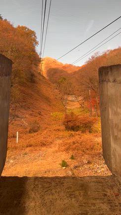 11月下旬でしたが…おさるの山紅葉見れるかなー？の記事動画