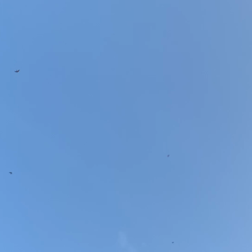常駐のの画像