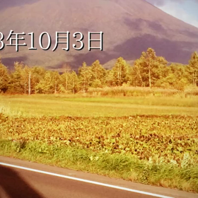癒しの画像