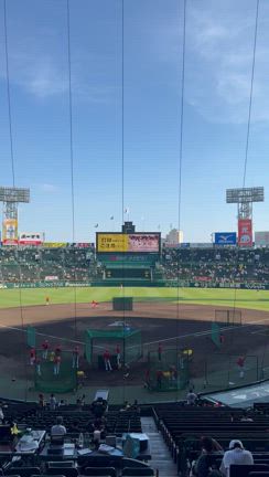 史上最速のリーグ優勝達成！！の記事動画