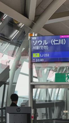 ソウル弾丸旅行の記事動画