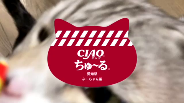アナフィラキシーショックと河津桜の記事動画