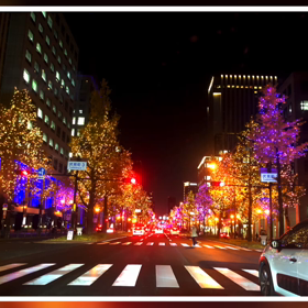 2020.12.24 クリスマスだね〜の画像