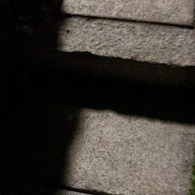 秋の夜の画像
