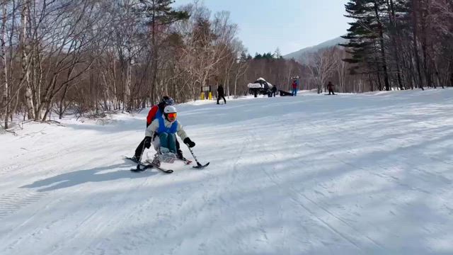 甦る！の記事動画