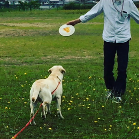 I won't give up！の画像