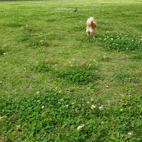 ３密を避けて公園へpart2の画像