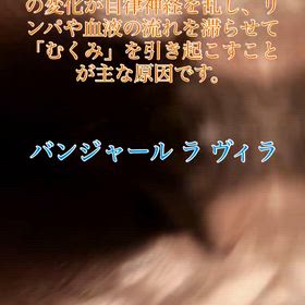 2026/06/14の画像