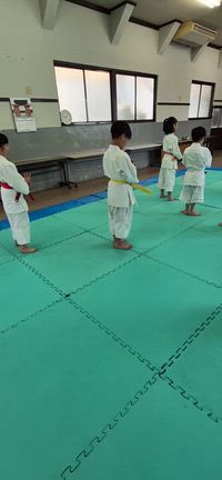 日曜日の合気道(堺市西区鳳道場)の記事動画