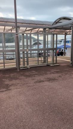 菅島で蜂に追われる強制ランニングで灯台巡りの記事動画