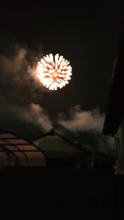 家の真裏で砲撃！？慌てて飛び出たの記事動画