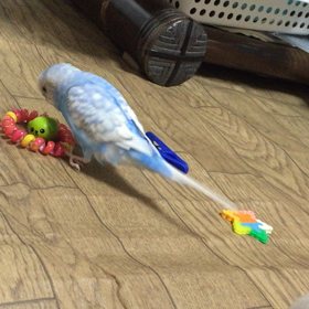 ごはん食べての画像