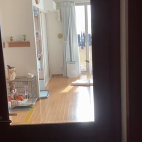 あんず吠えたの画像
