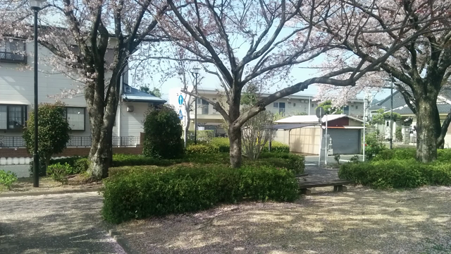 さくら公園の記事動画