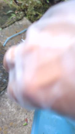 今年５匹目の、、、の記事動画